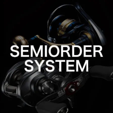 SEMIORDER SYSTEM