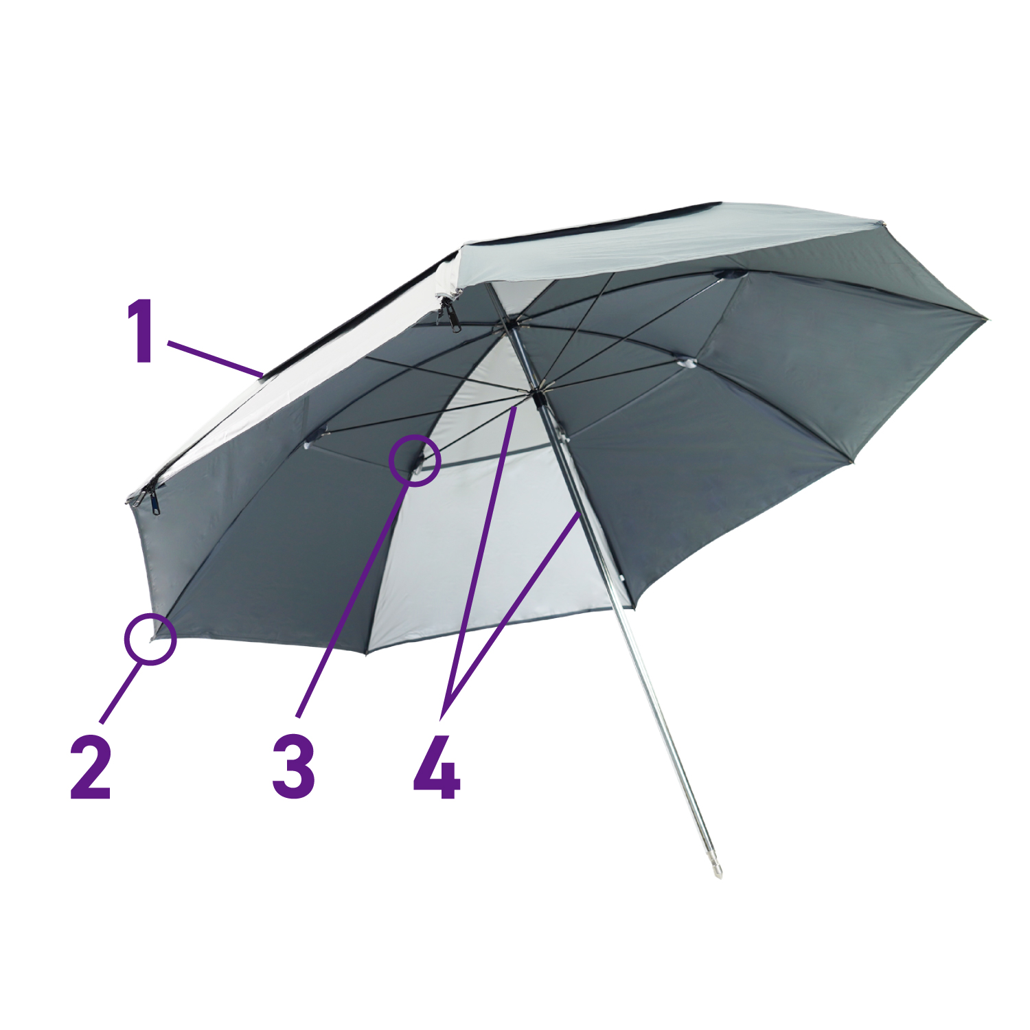 parasol